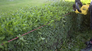 Beskaering I Haven Trin1 Mobil 2023