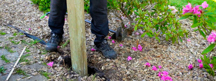 Espalier Placer Stolpe Nr2 Nyweb
