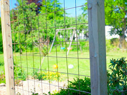 Lav et espalier med rionet