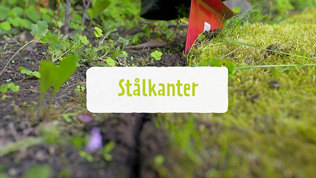 Bedafgraensning Staal Trin1 Mobil 2023