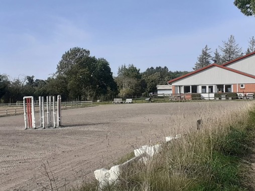 Etablering af springbanehegn