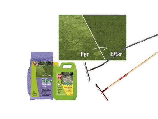 Tips til mosbekæmpelse