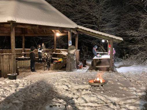 Renovering af tag på bålhytte