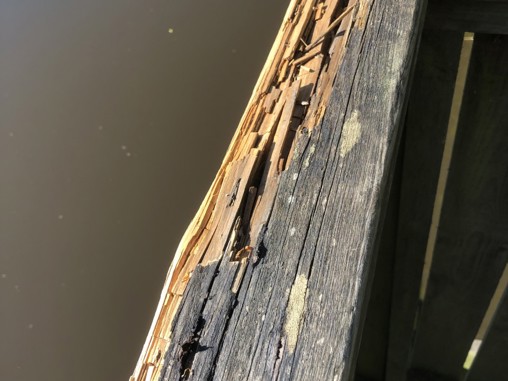 Renovering af tankesteder