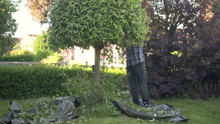 Beskaering I Haven Trin4 Mobil 2023