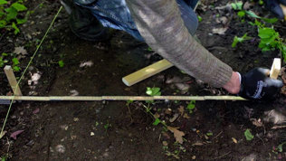 Havesti Trin1 Mobil 2023