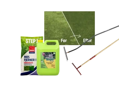 Tips til mosbekæmpelse