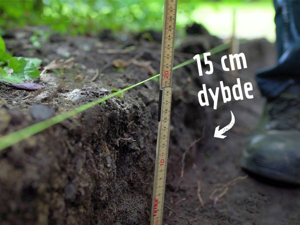 Grav stien 15 cm dyb