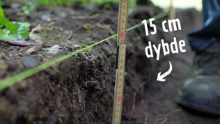 Havesti Trin4 Mobil 2023