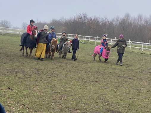Læskuer til Orø PonyKlub