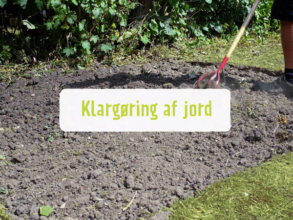 Jord klargøres med en kultivator