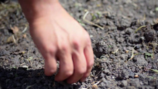 Saaning Af Graes Trin2 Mobil 2023