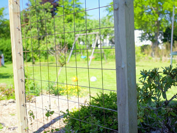 Færdigbygget espalier