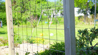 Espalier Trin7 Mobil 2023