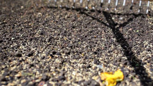 Saaning Af Graes Trin7 Mobil 2023