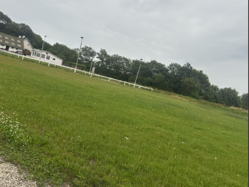 Ny springbane til Limfjordens Hestecenter