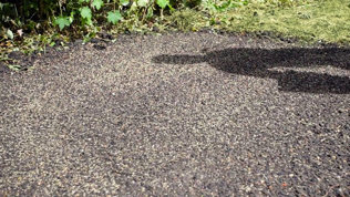 Saaning Af Graes Trin6 Mobil 2023