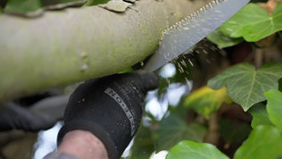 Beskaering I Haven Trin3 Mobil 2023