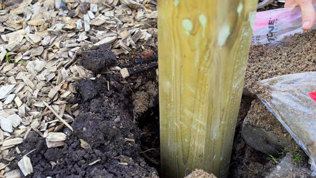 Espalier Trin2 Mobil 2023