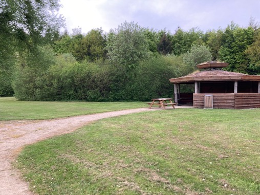 Søprojekt Flauenskjold - Tørt træ til selvforkælelse i naturen