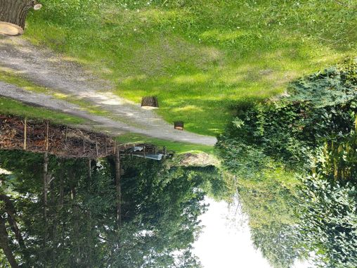 Halvtag & kompostbeholder