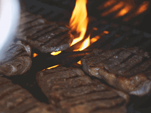 Gasgrill gennemgang - Grillexpert