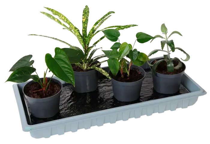 Forspiring - minidrivhuse