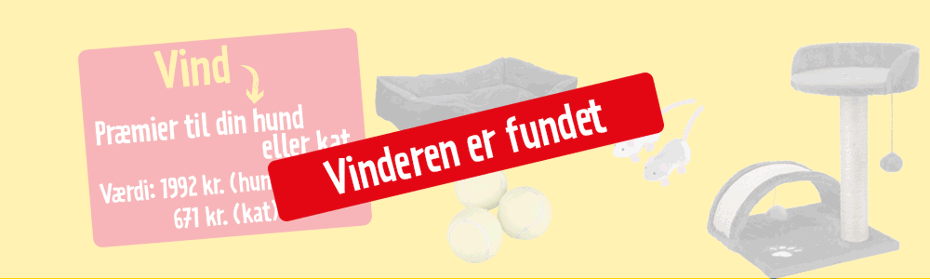 Grafik med præmien og besked om at vinderne er fundet