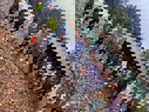 4h loft i besøgsstalden