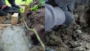 Havesti Trin8 Mobil 2023