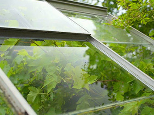 Skift glasrude i drivhuset