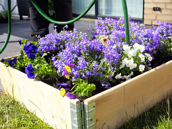 Færdigplantet højbed med lilla blomster