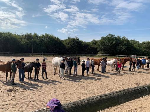Nyt læskur til Ellum Rideklub