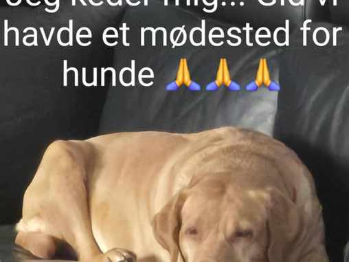 Lobbæk Hundelegestue